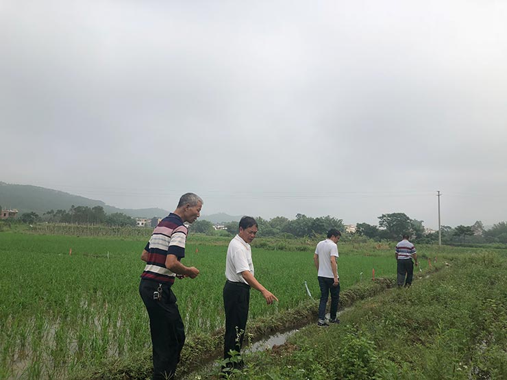 F88星宝(中国集团)官方网站