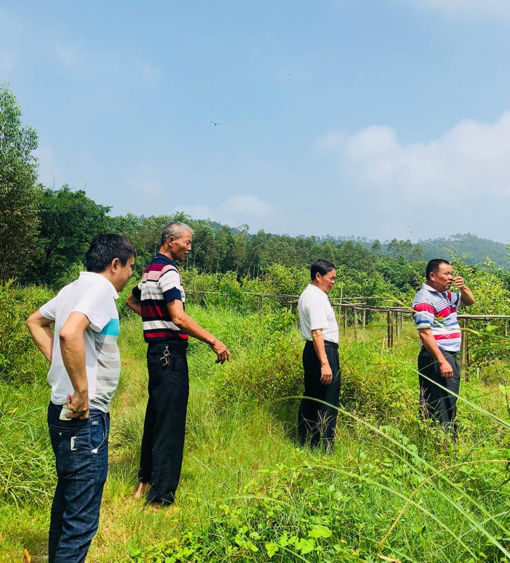 F88星宝(中国集团)官方网站