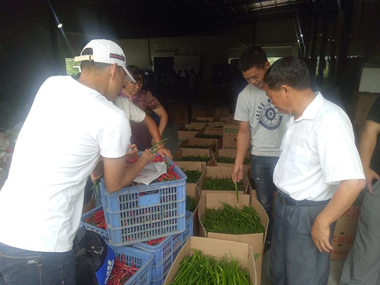 F88星宝(中国集团)官方网站