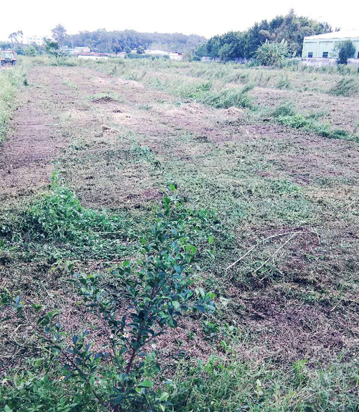 F88星宝(中国集团)官方网站