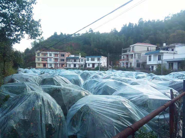 F88星宝(中国集团)官方网站