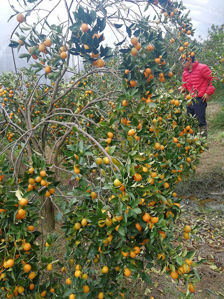 F88星宝(中国集团)官方网站