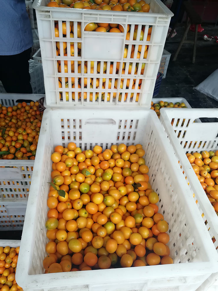 F88星宝(中国集团)官方网站