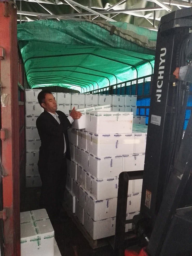 F88星宝(中国集团)官方网站