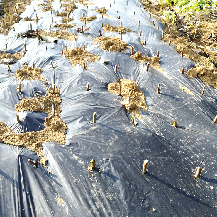 F88星宝(中国集团)官方网站