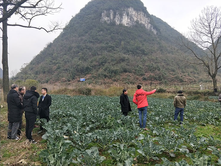 F88星宝(中国集团)官方网站