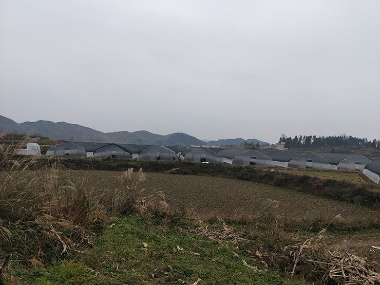 F88星宝(中国集团)官方网站