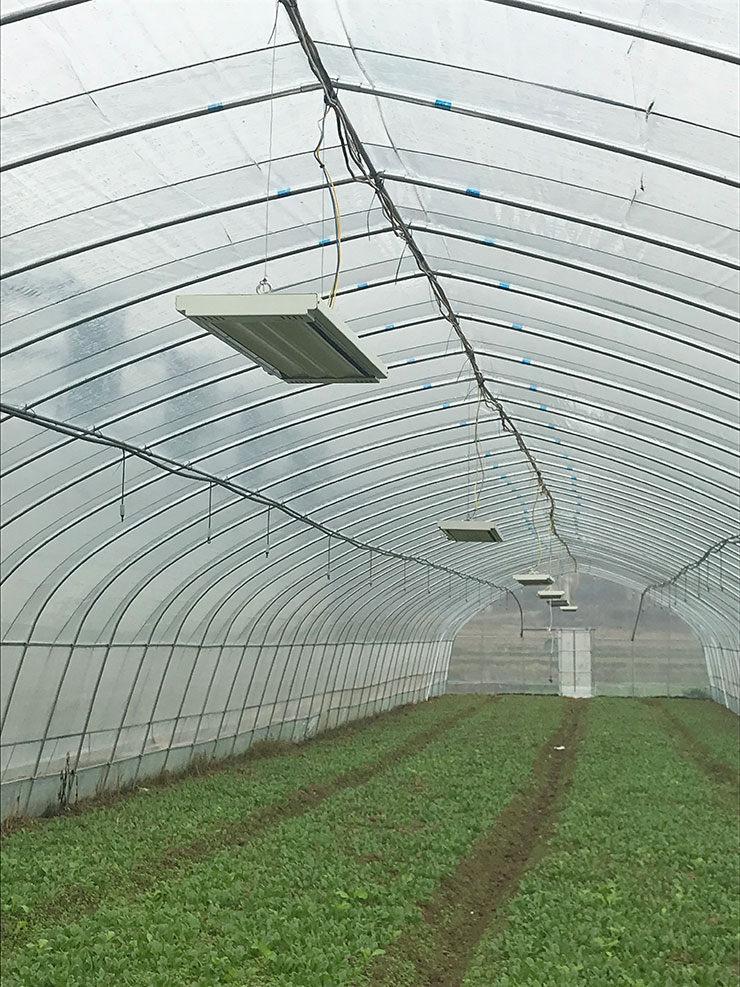 F88星宝(中国集团)官方网站