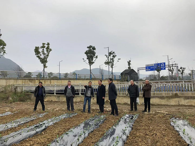 F88星宝(中国集团)官方网站