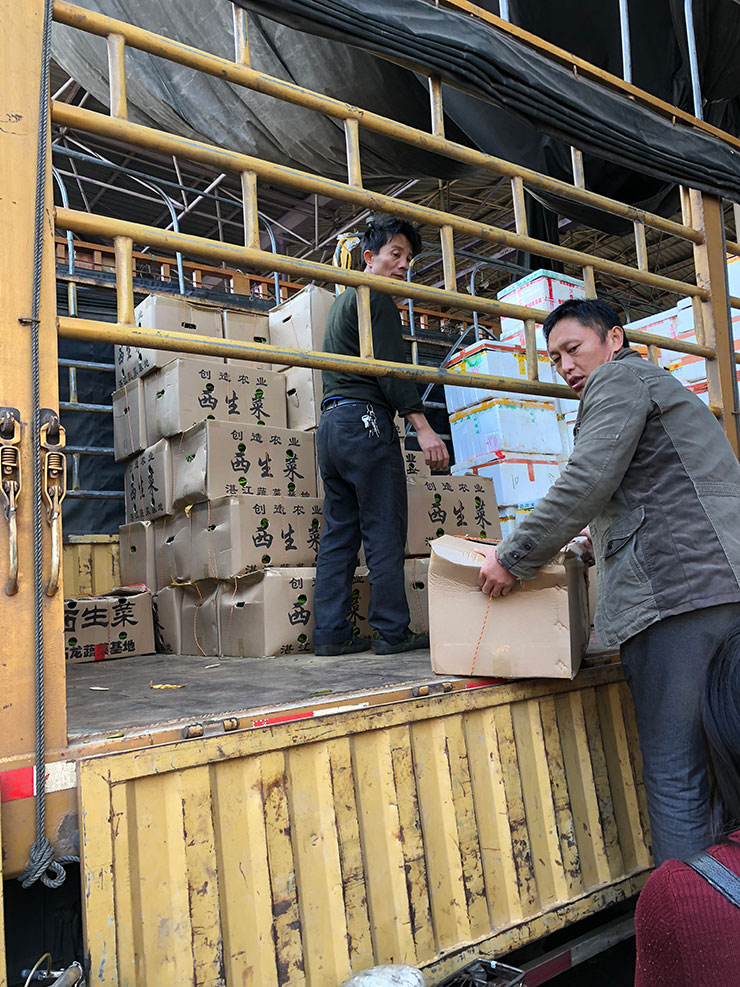 F88星宝(中国集团)官方网站