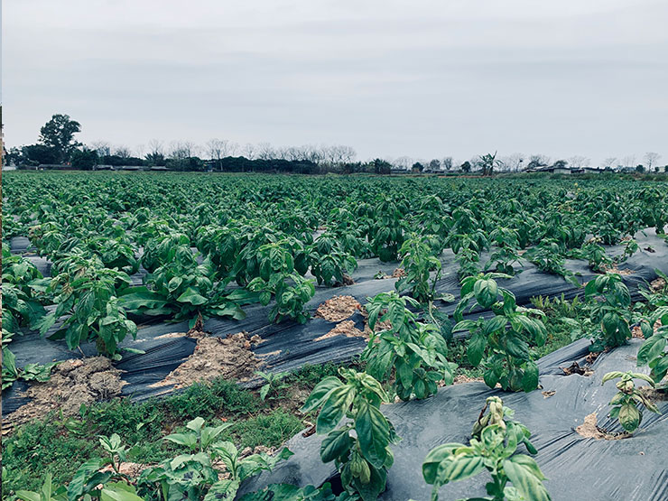 F88星宝(中国集团)官方网站