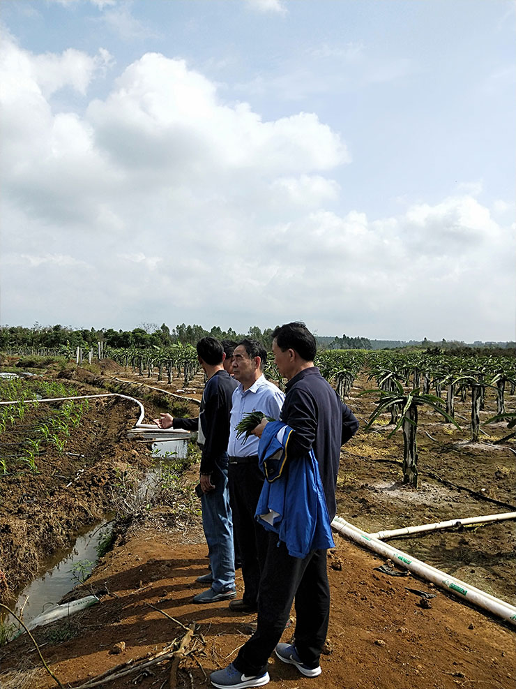 F88星宝(中国集团)官方网站