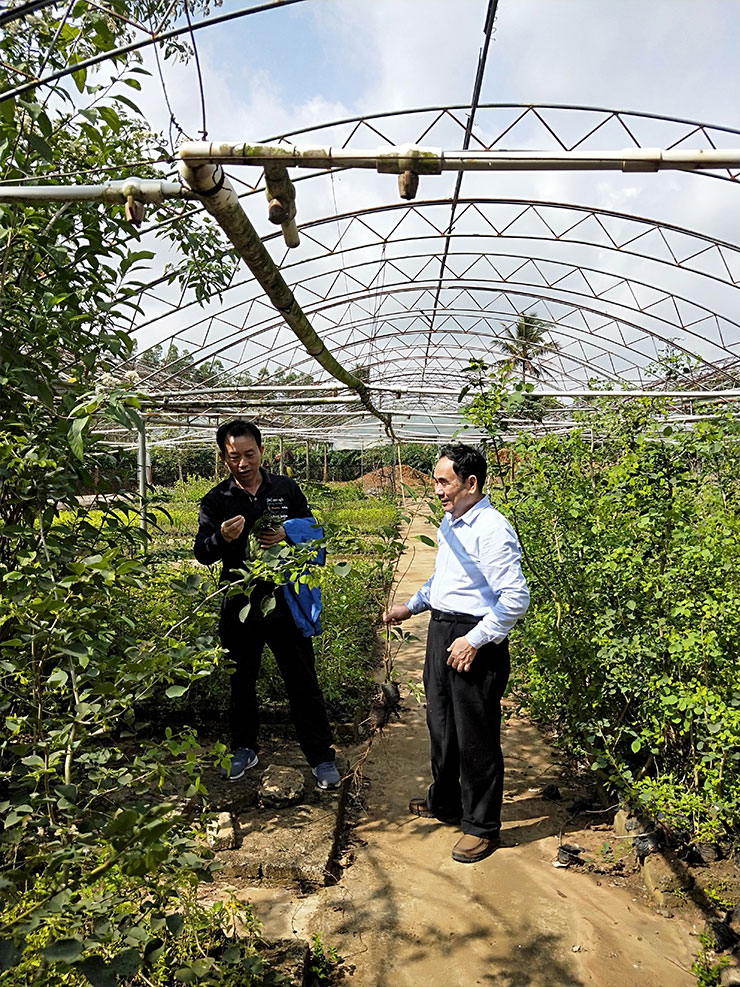 F88星宝(中国集团)官方网站