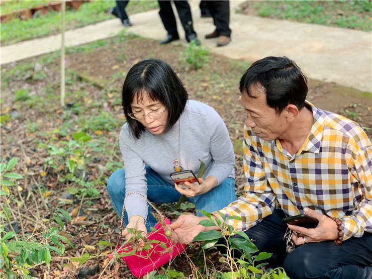 F88星宝(中国集团)官方网站