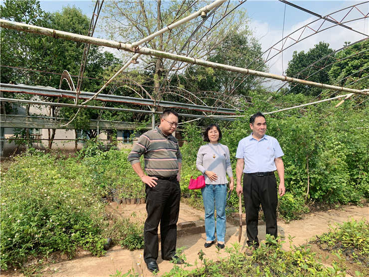 F88星宝(中国集团)官方网站