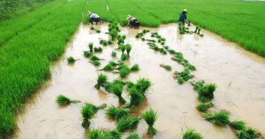 F88星宝(中国集团)官方网站