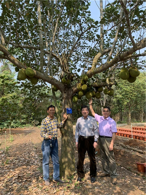 F88星宝(中国集团)官方网站