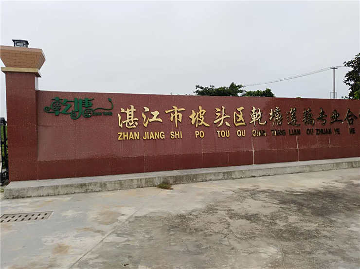 F88星宝(中国集团)官方网站