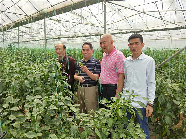 F88星宝(中国集团)官方网站