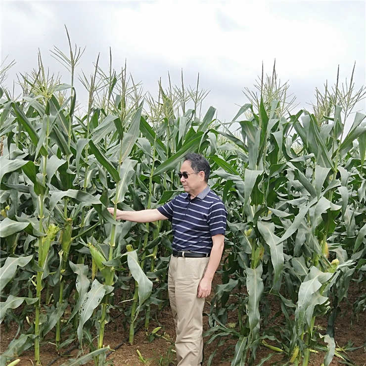 F88星宝(中国集团)官方网站