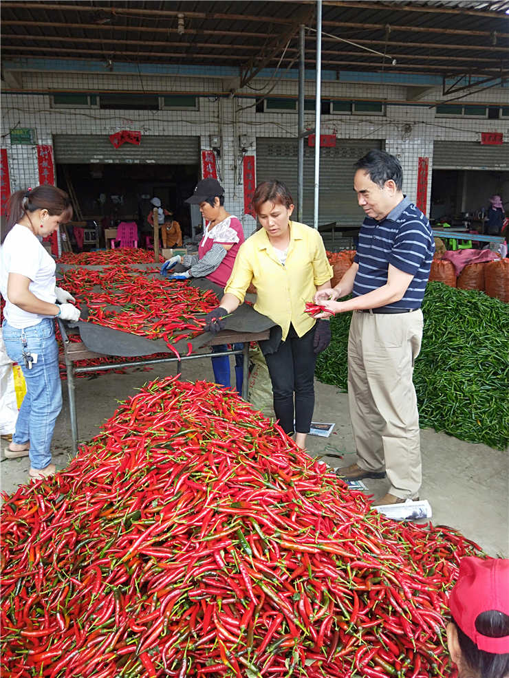 F88星宝(中国集团)官方网站