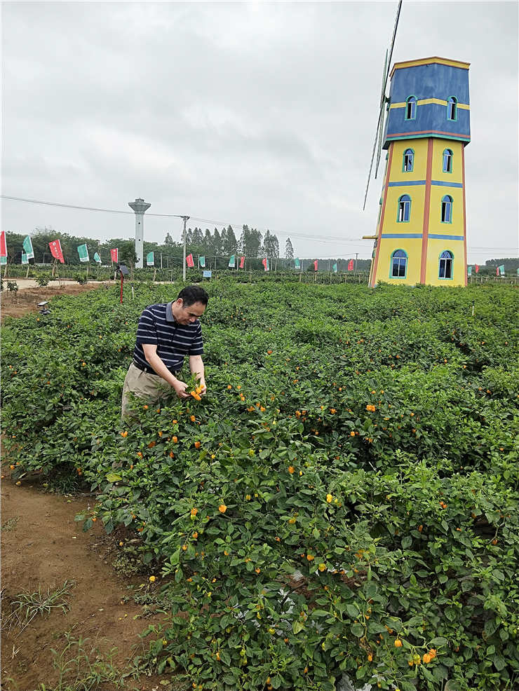 F88星宝(中国集团)官方网站