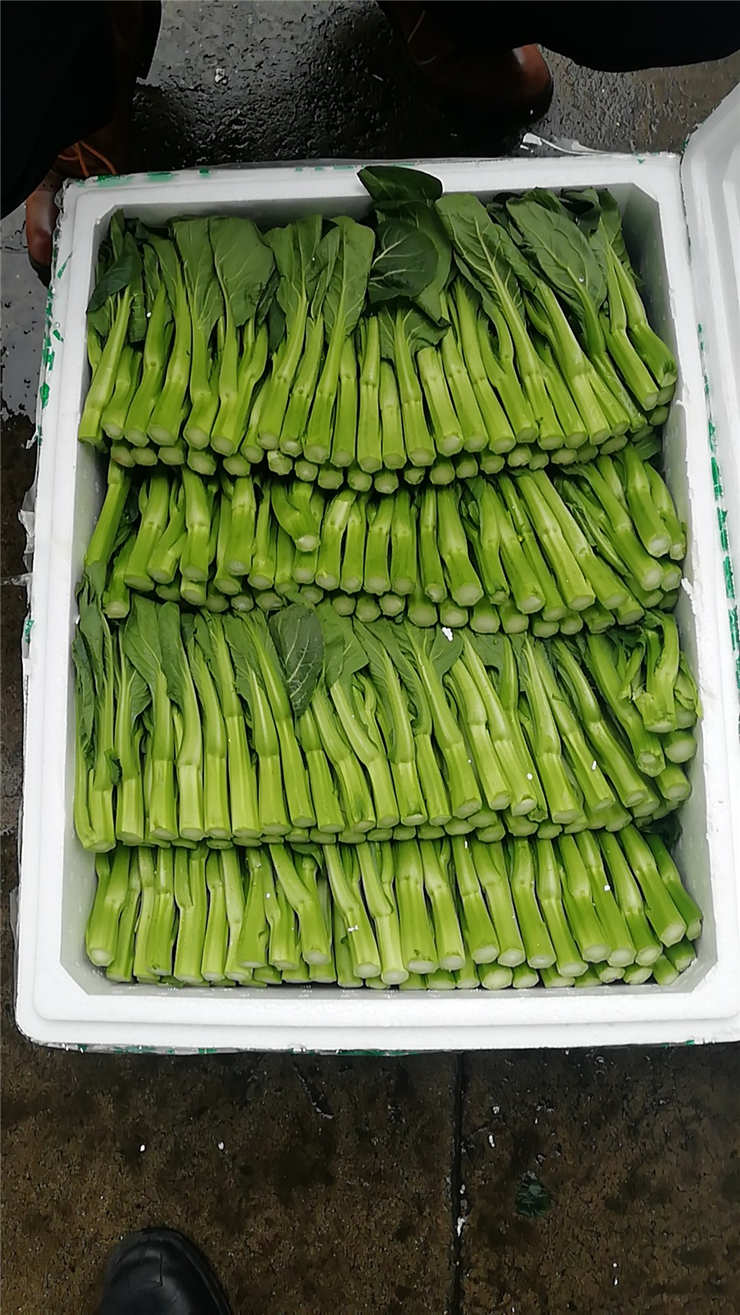 F88星宝(中国集团)官方网站