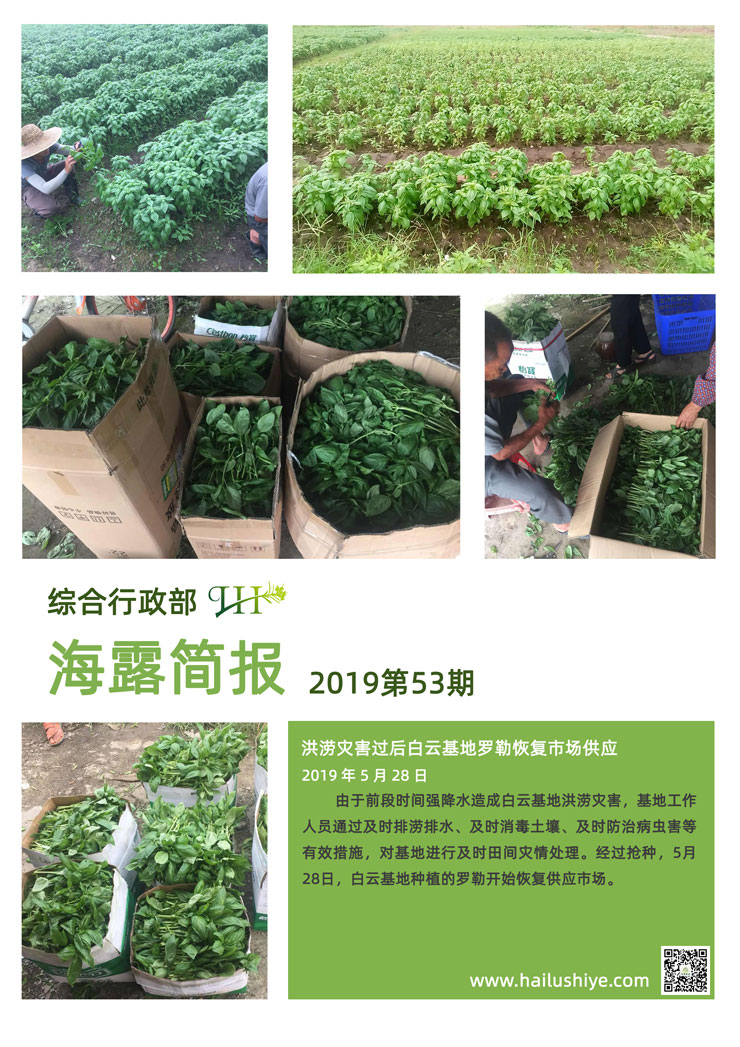 F88星宝(中国集团)官方网站