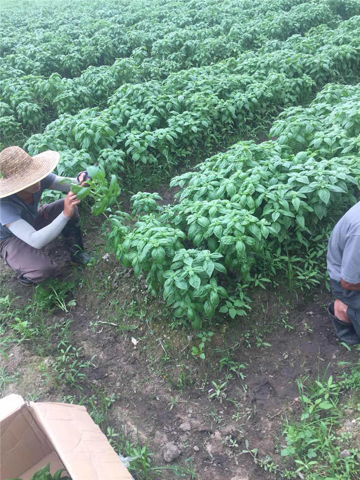 F88星宝(中国集团)官方网站