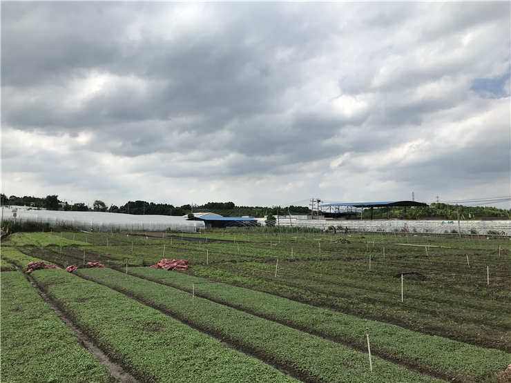 F88星宝(中国集团)官方网站