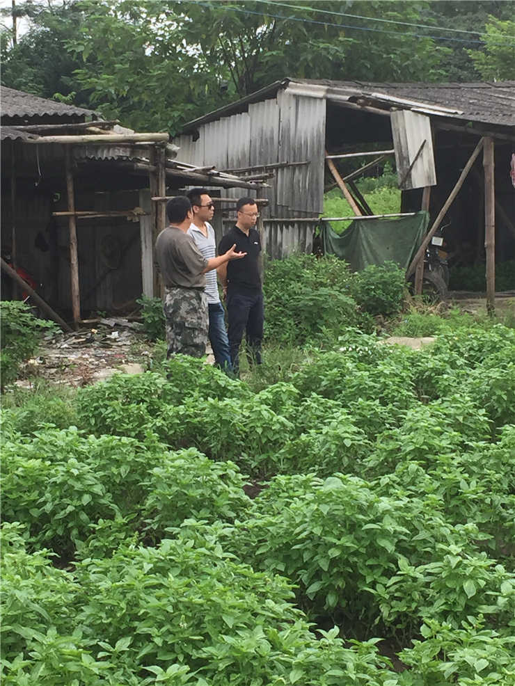 F88星宝(中国集团)官方网站