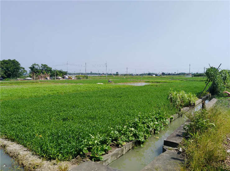 F88星宝(中国集团)官方网站