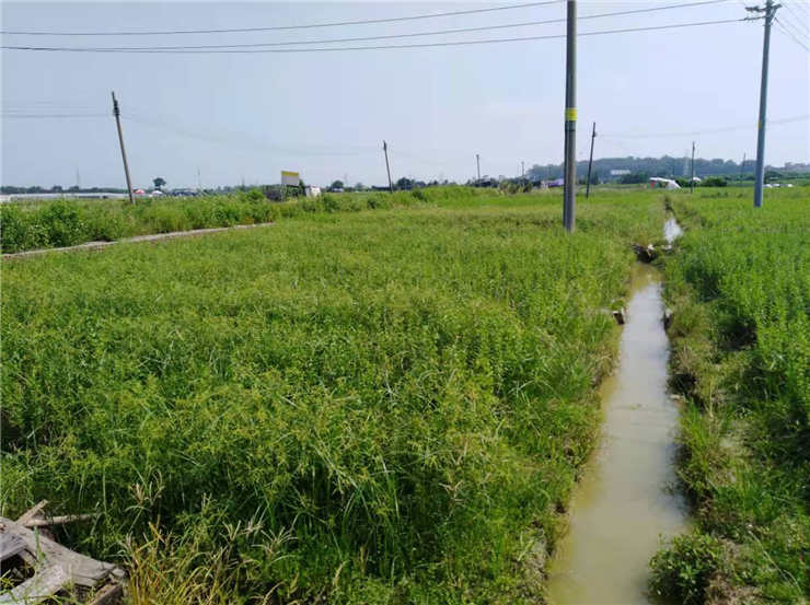 F88星宝(中国集团)官方网站