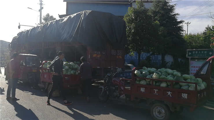 F88星宝(中国集团)官方网站