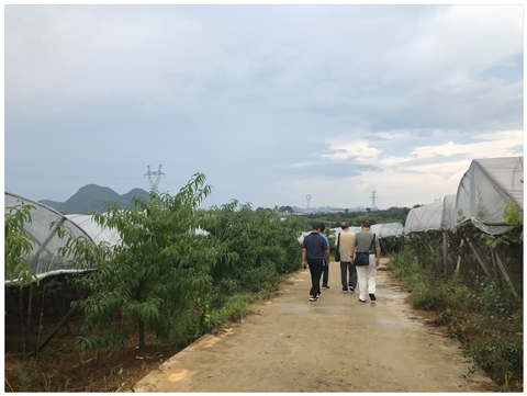 F88星宝(中国集团)官方网站