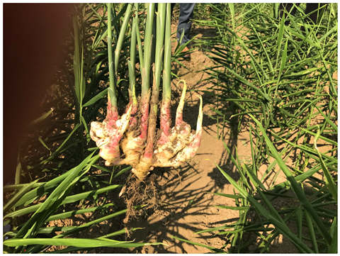 F88星宝(中国集团)官方网站