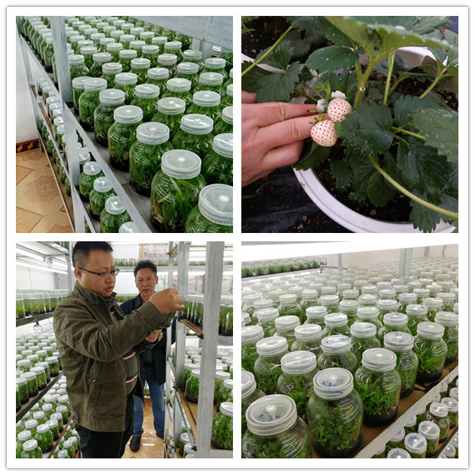 F88星宝(中国集团)官方网站