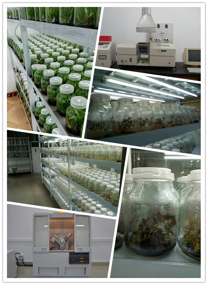 F88星宝(中国集团)官方网站