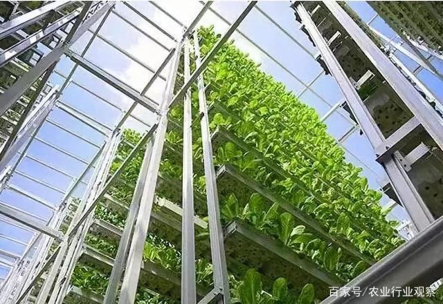 F88星宝(中国集团)官方网站