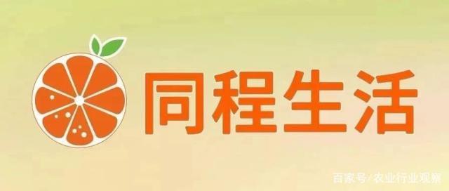 F88星宝(中国集团)官方网站