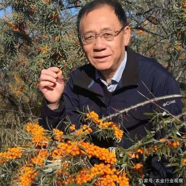 F88星宝(中国集团)官方网站