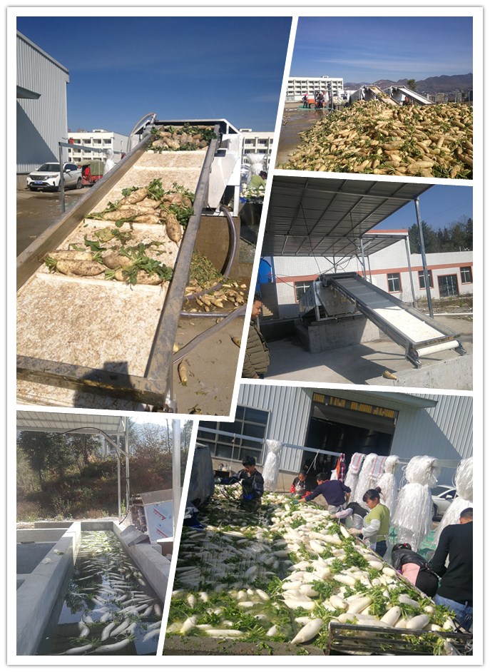 F88星宝(中国集团)官方网站