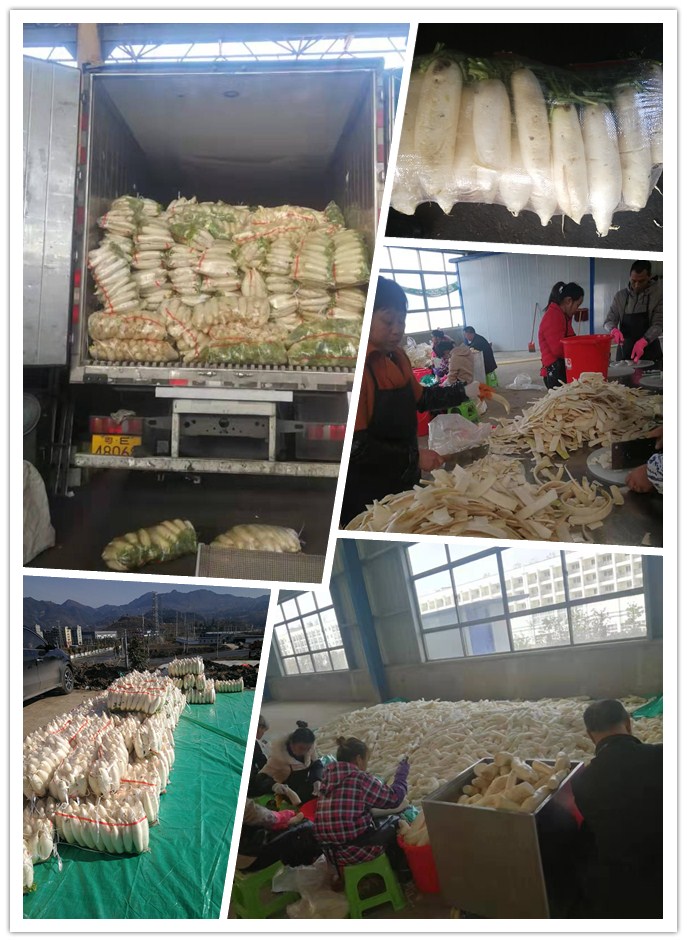 F88星宝(中国集团)官方网站