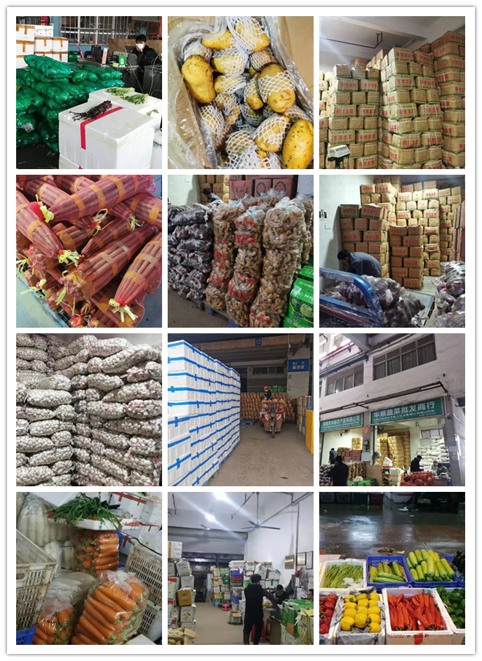 F88星宝(中国集团)官方网站