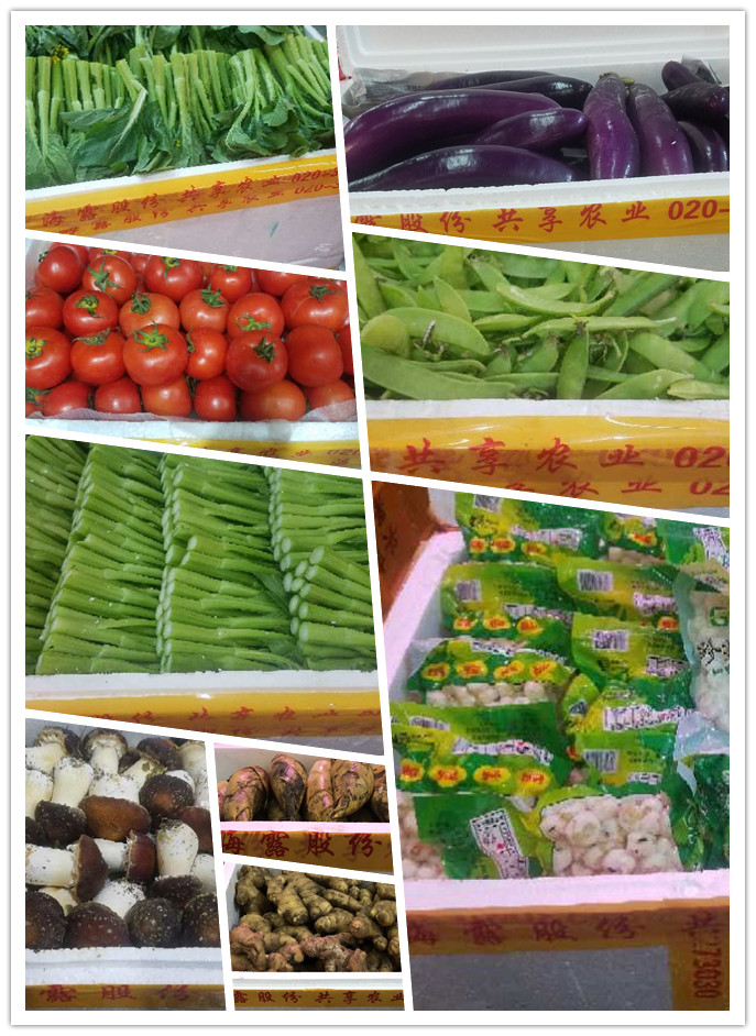 F88星宝(中国集团)官方网站