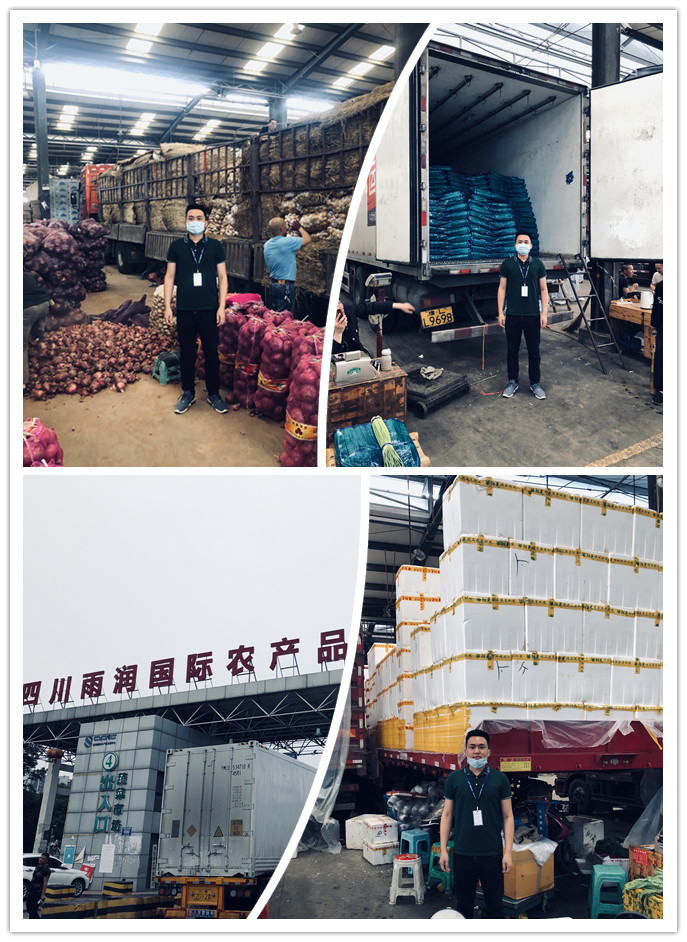 F88星宝(中国集团)官方网站