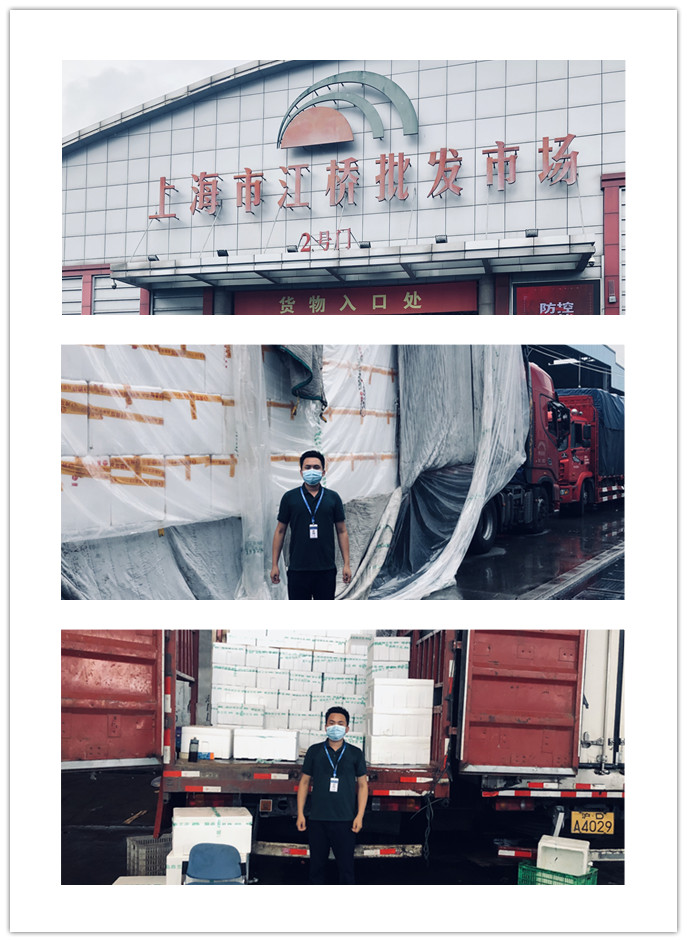 F88星宝(中国集团)官方网站