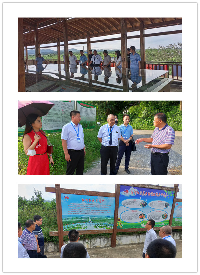 F88星宝(中国集团)官方网站