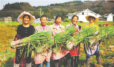 F88星宝(中国集团)官方网站