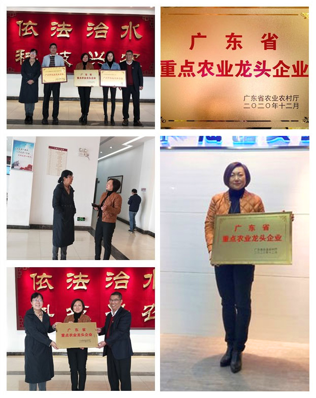 F88星宝(中国集团)官方网站